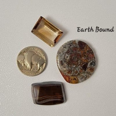 Goethite fossil, ammonite fossil cabochons, topaz faceted stone