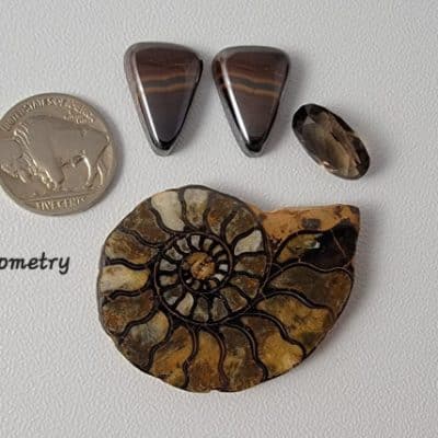 designer stones ammonite fossil, smoky topaz faceted stone, goethite cabochons.