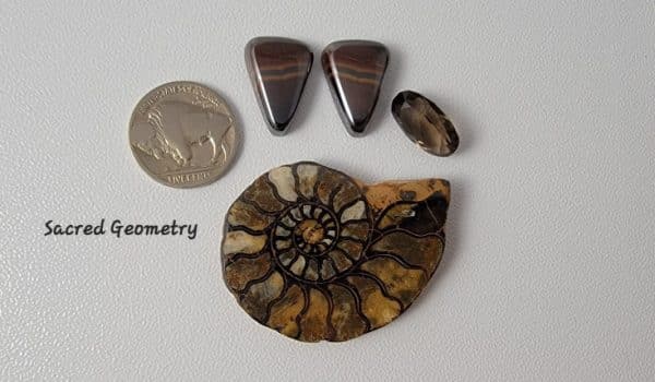 designer stones ammonite fossil, smoky topaz faceted stone, goethite cabochons.